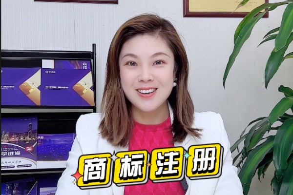 商標(biāo)注冊(cè)自主提交和代理提交有什么區(qū)別